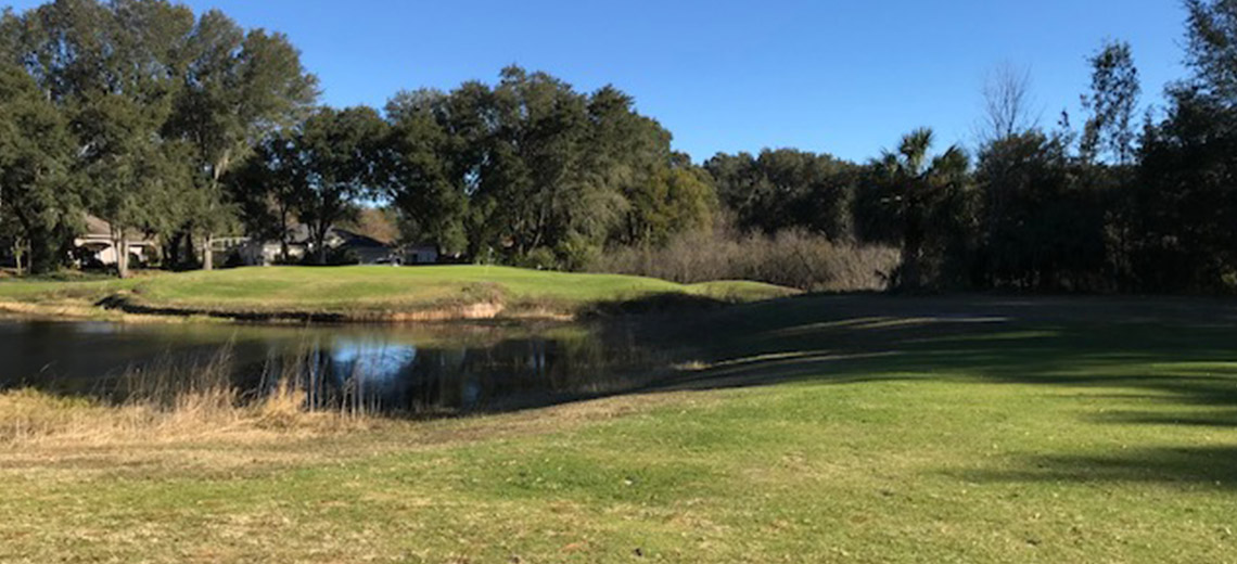 My Homepage Lakes of Lady Lake Golf Course